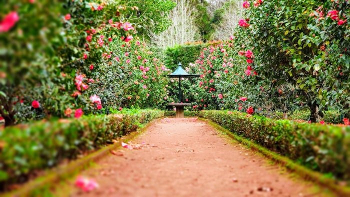 Jardinería y Paisajismo Visa H2B